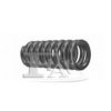 RENAU 6025309078 Spring, silencer